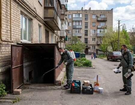 Мероприятия по борьбе с грызунами В Донецке